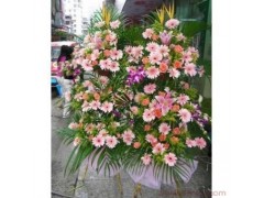 开业花篮 财源广进 鲜花店-全国鲜花包送图1