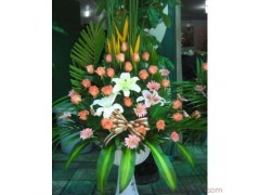 开业花篮 广进财源 实体鲜花店-全国鲜花包送图1