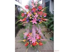开业花篮 财源广进达三江 鲜花预订-全国鲜花包送图1