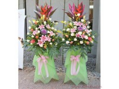 开业花篮 吉祥如意恭贺 实体花店-全国鲜花包送图1