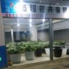 简介：