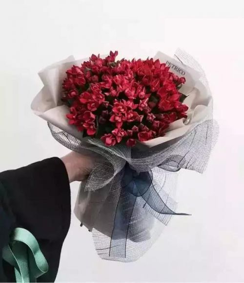 微信图片_20190109083554